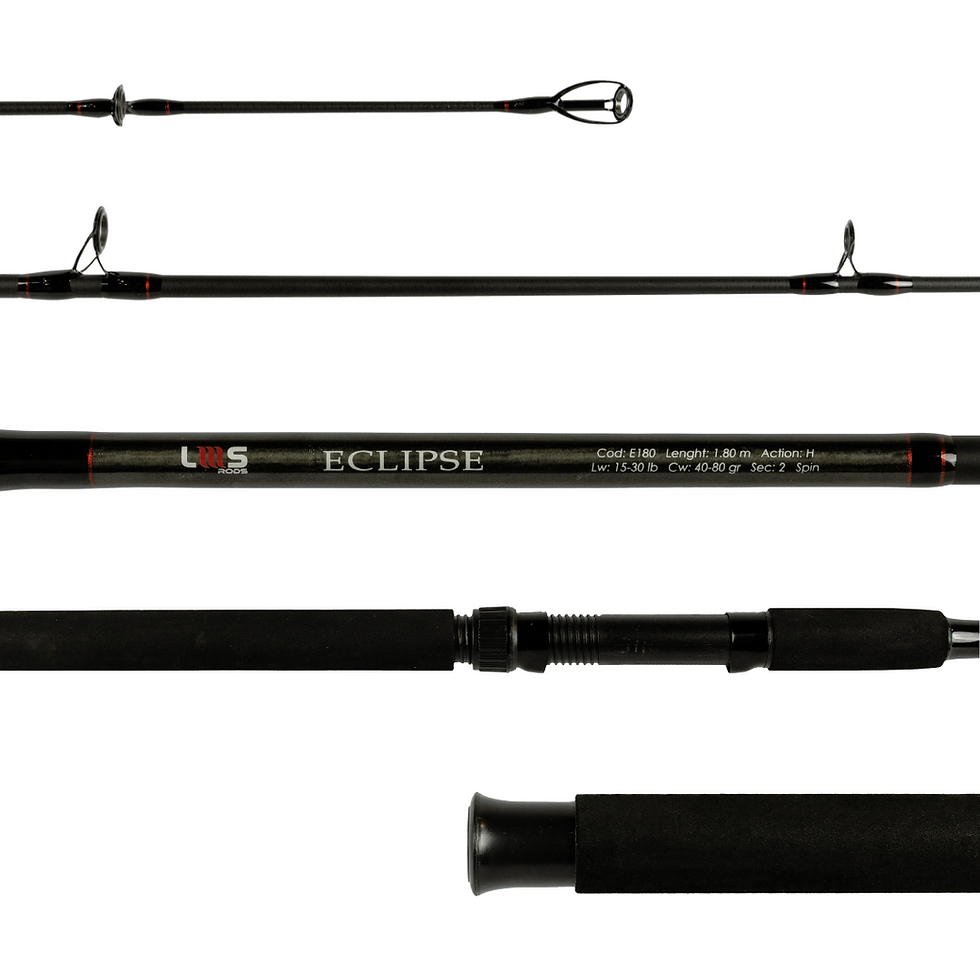 Miniatura: *Vara LMS Rods Eclipse Spin 2,40m 20-50lbs 60-100gr Bipartida Molinete