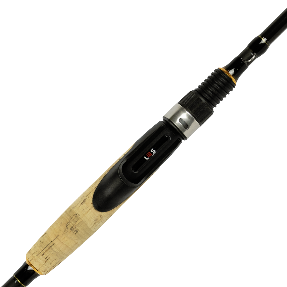 Miniatura: Intense 100 60-170g 30-60lb Action: XH IM8 New Model Bipartida Molinete