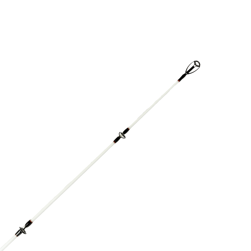 Miniatura: Vara LMS Rods Katra 3,00m 20-50lbs 80-120gr Heavy Action Molinete Bipartida