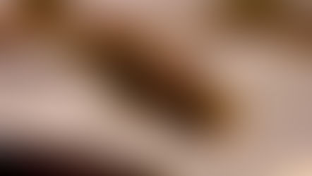 Português Instrumental