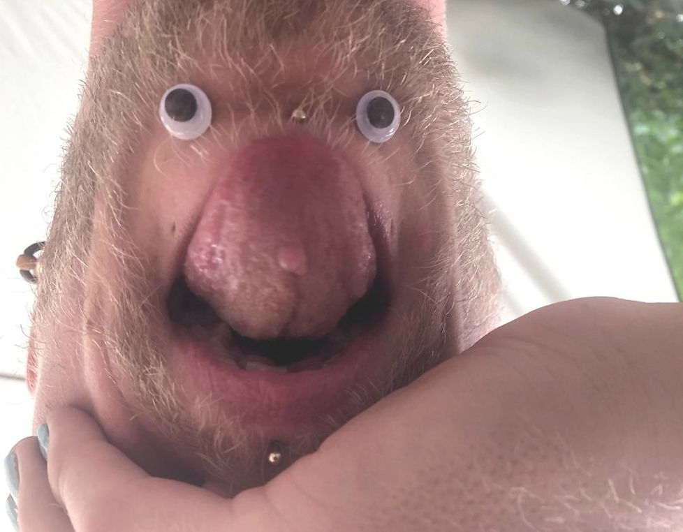 i'bims_edited.jpg