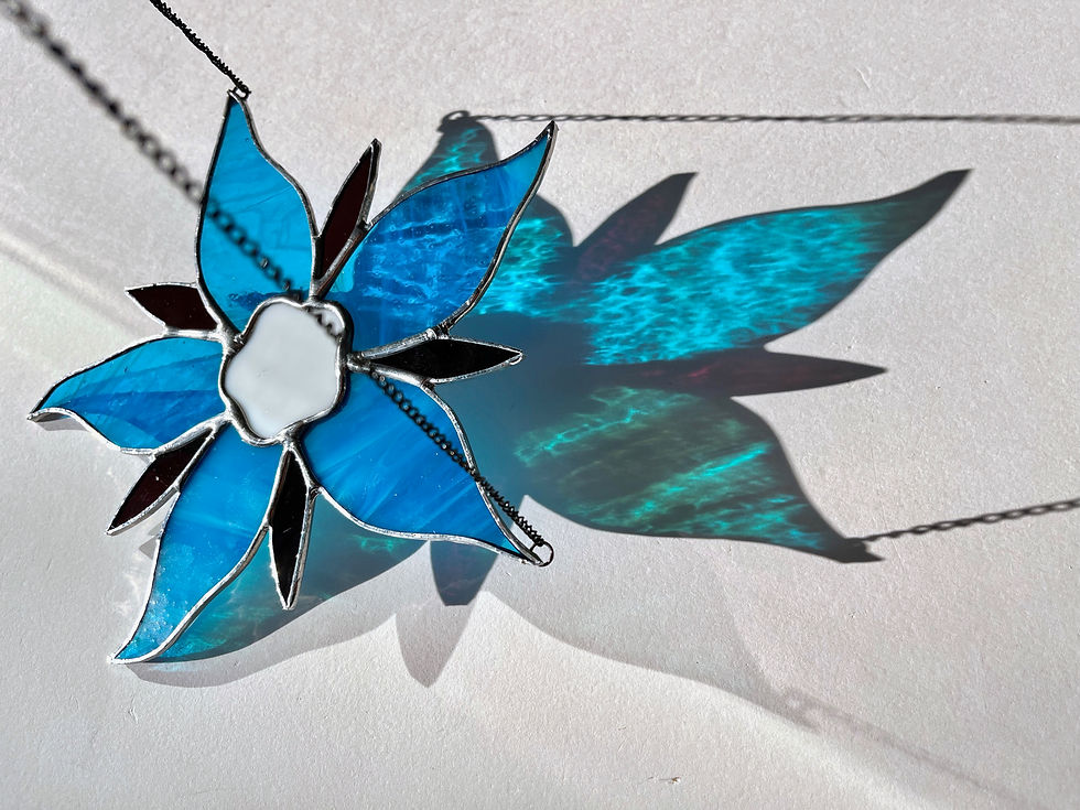 Küçük resim: Borage Çiçeği Güneşkapanı