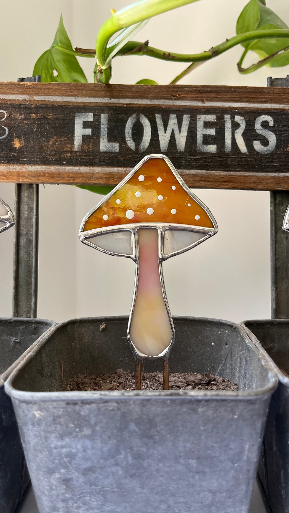 Küçük resim: Mantar Saksı süsleri