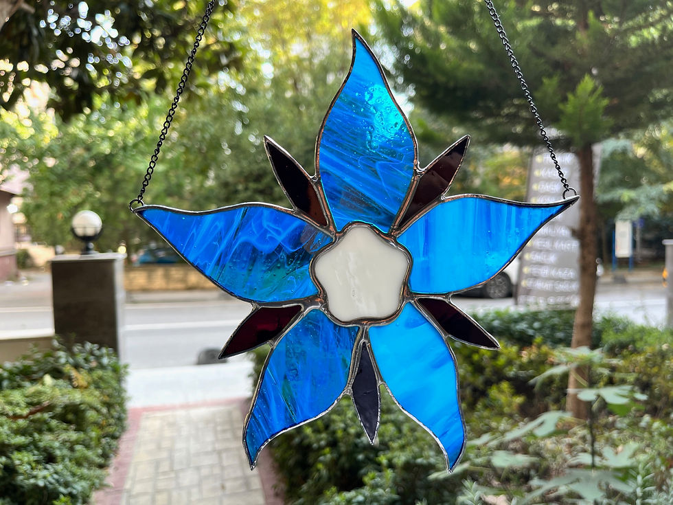 Küçük resim: Borage Çiçeği Güneşkapanı