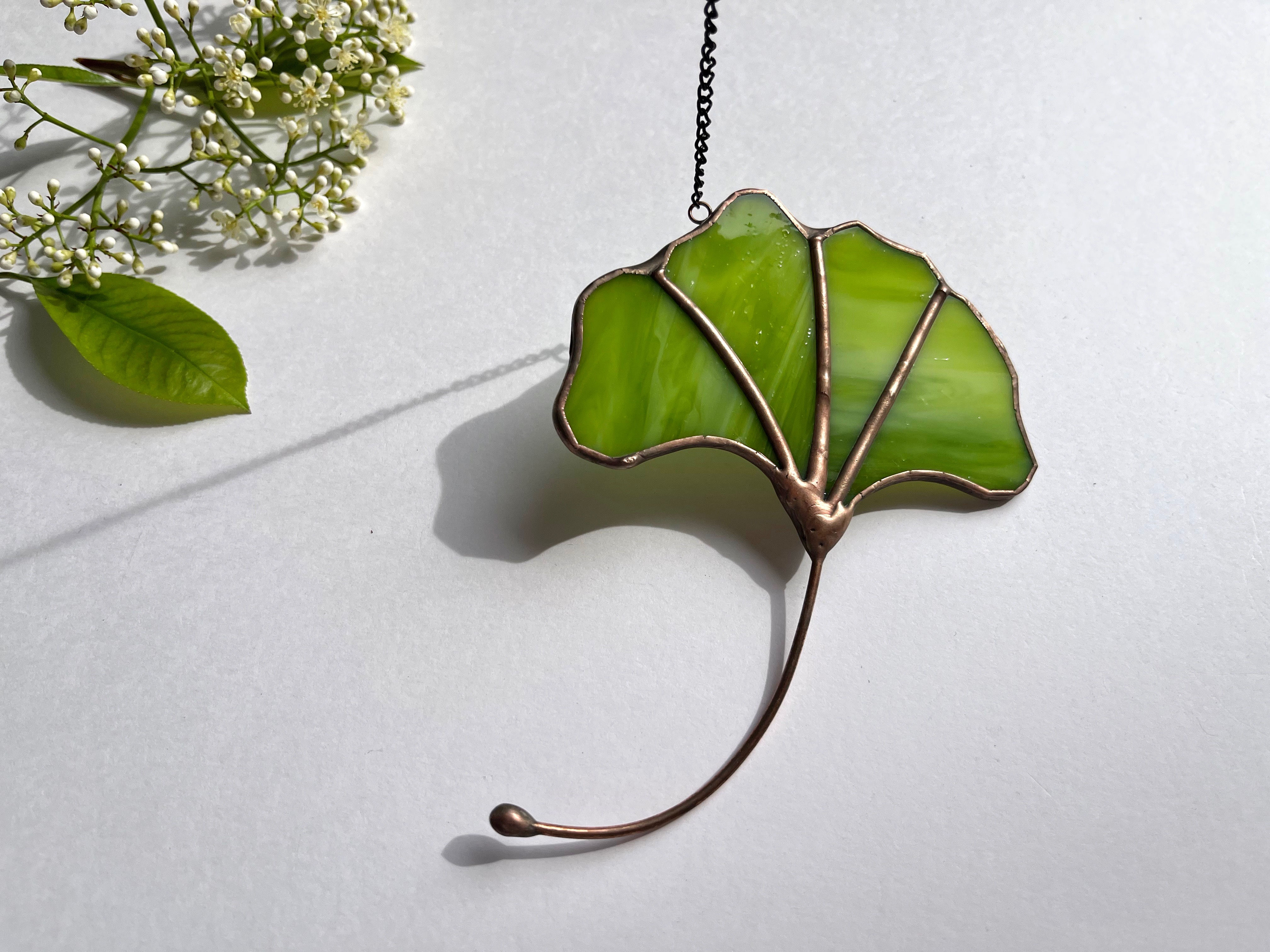 Yeşil Ginkgo yaprağı