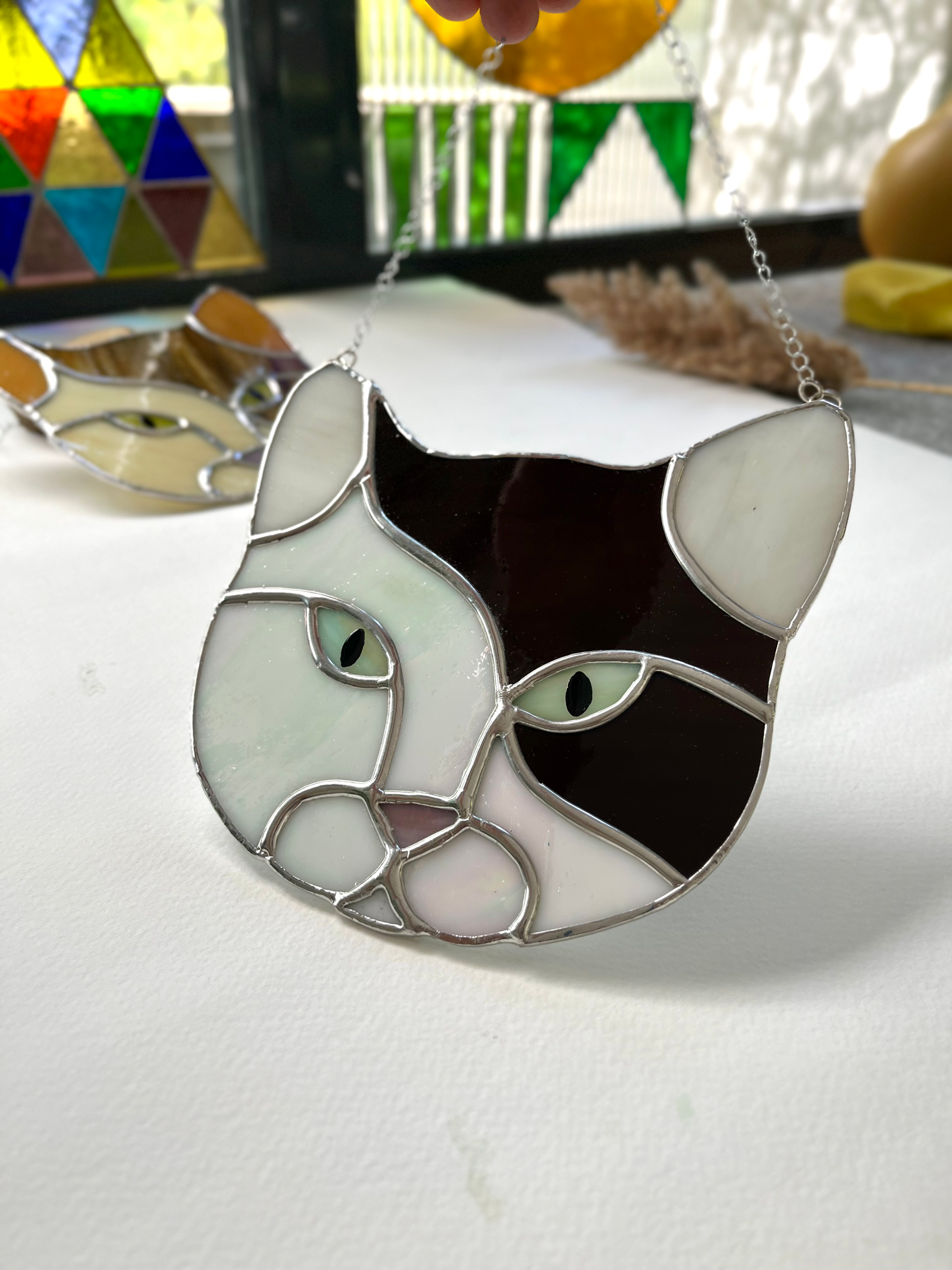 Siyah beyaz sedefli Kedi