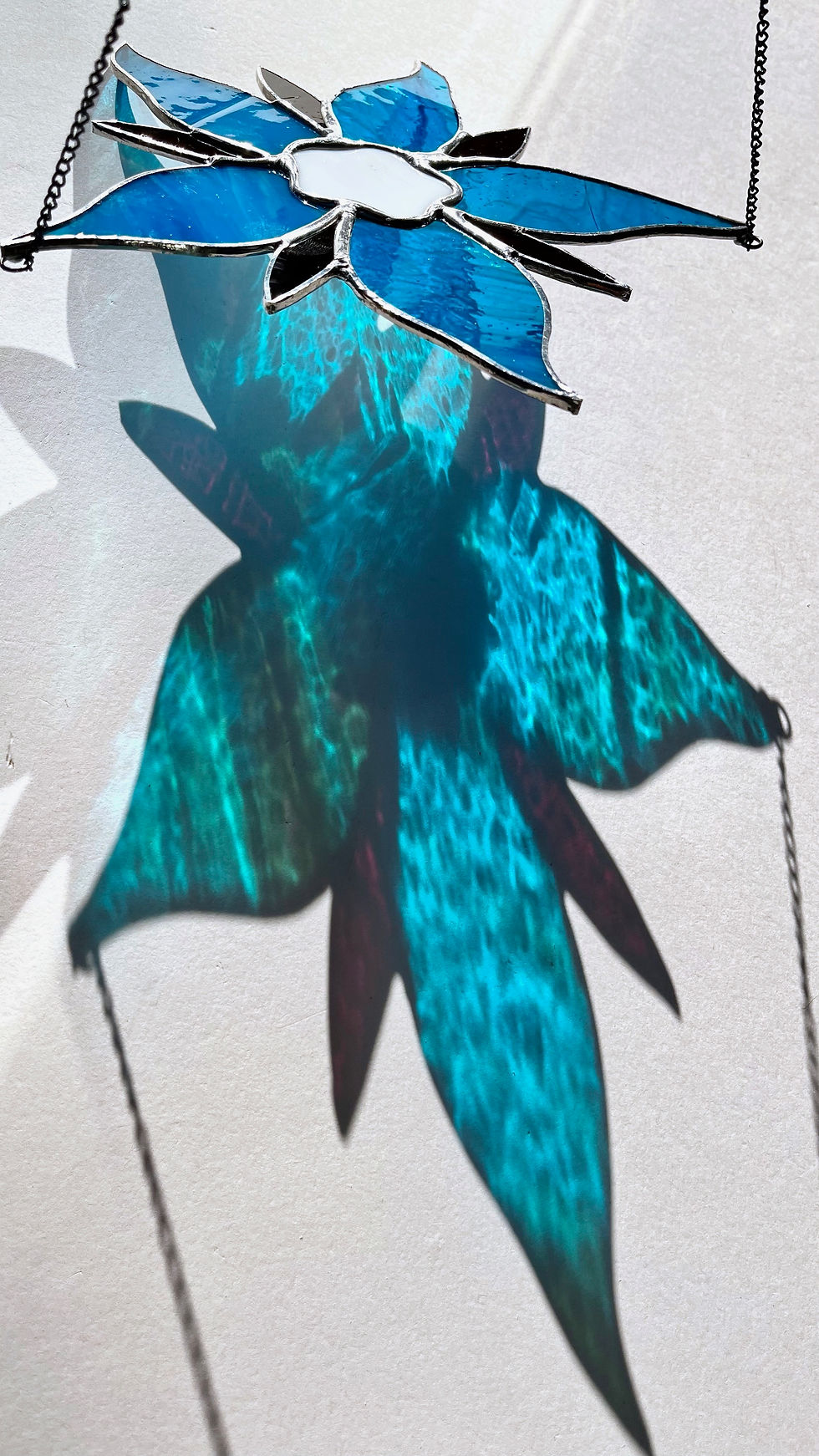 Küçük resim: Borage Çiçeği Güneşkapanı