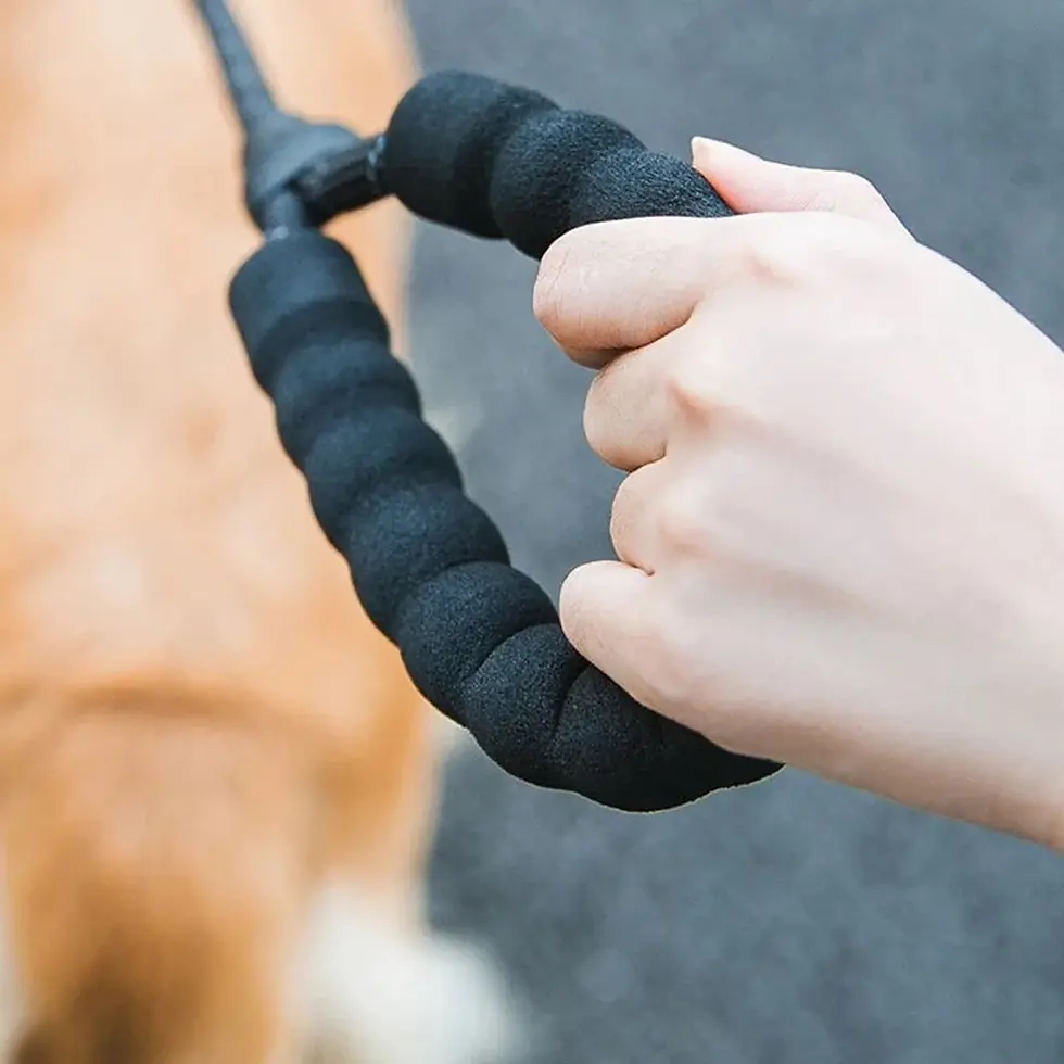Thumbnail: Training Slip Lead
