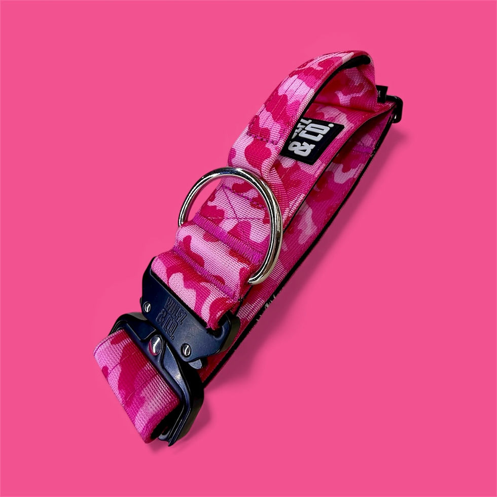 Thumbnail: Alpha Line Collar ~ Pink Camo