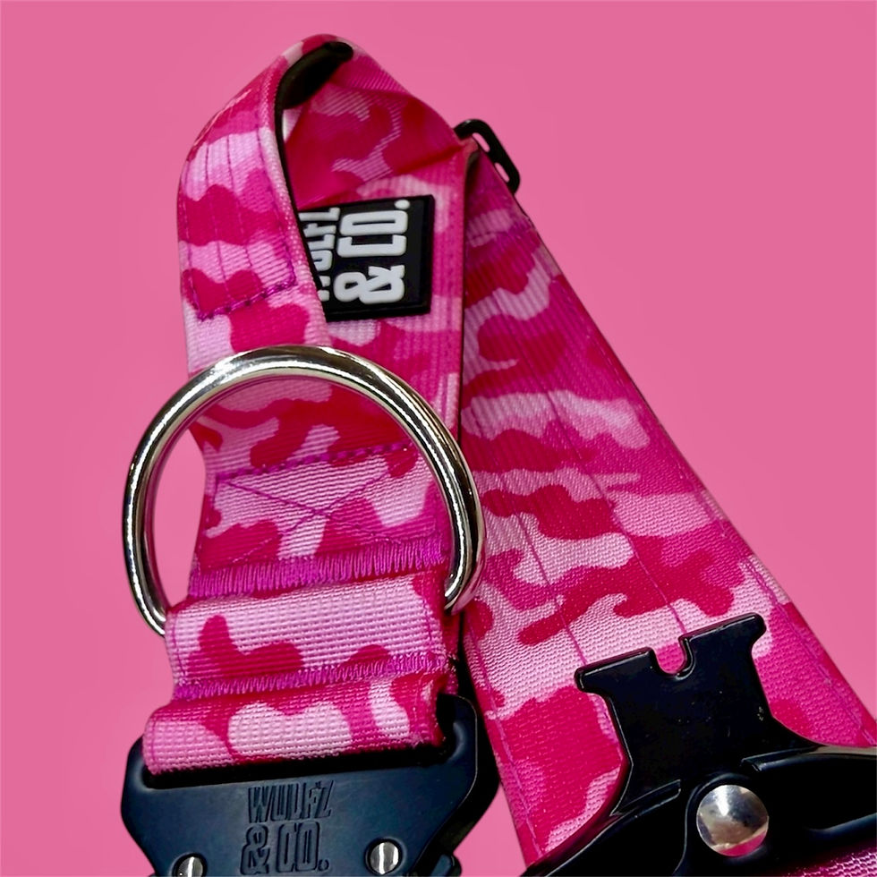 Thumbnail: Alpha Line Collar ~ Pink Camo