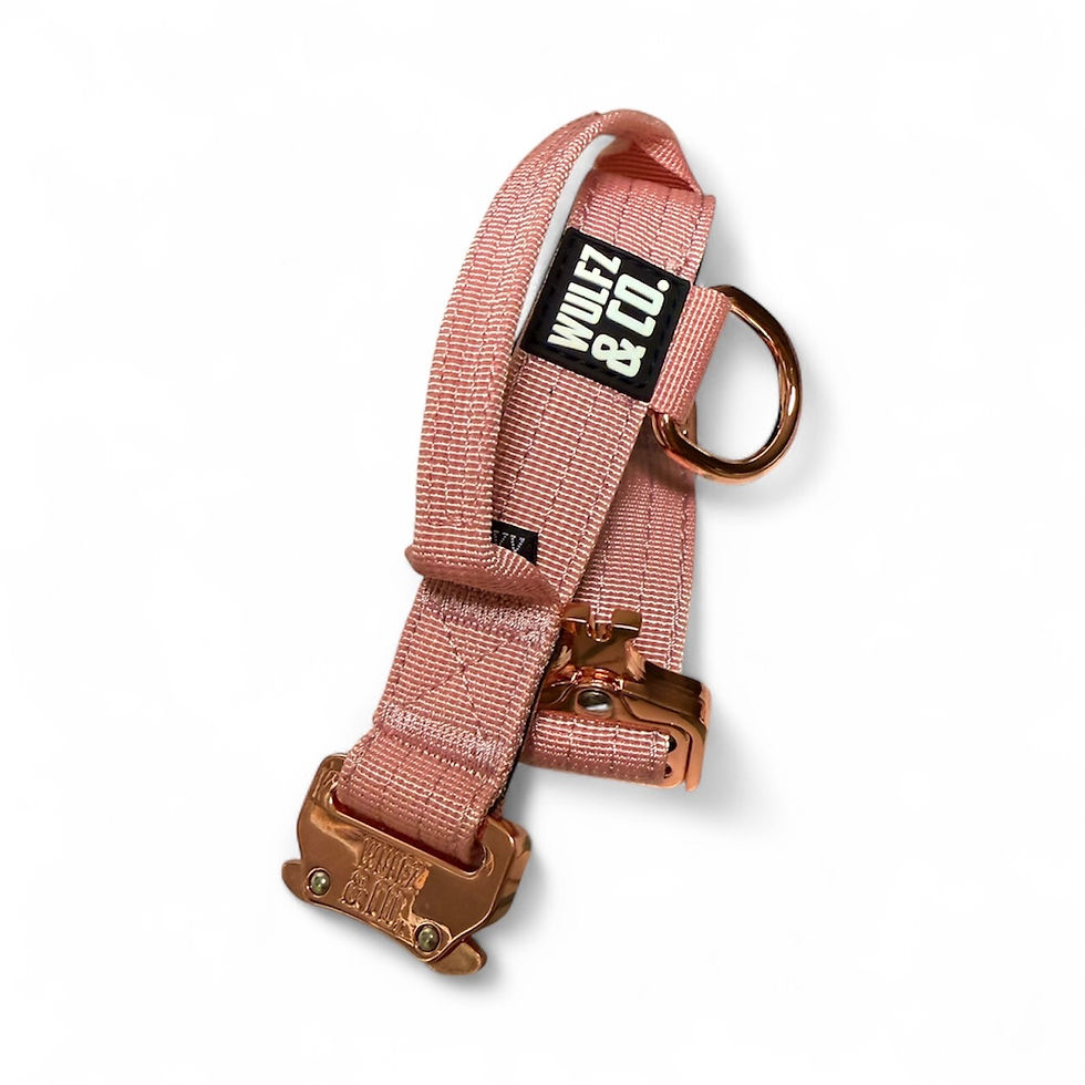 Alpha Slim Collar ~ Dusty Rosè Luxe Edition