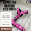 Thumbnail: Mini Alpha Harness ~ Magenta Pink