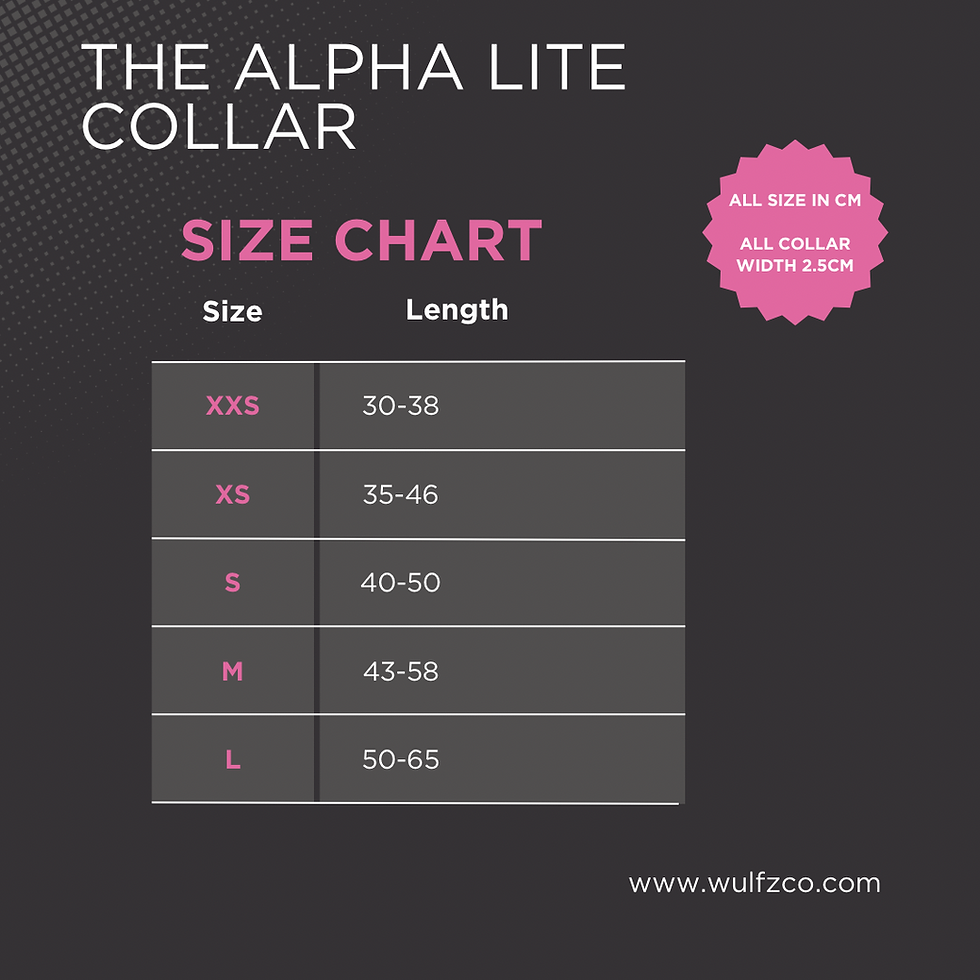 Thumbnail: Alpha Slim Collar ~ Magenta Pink
