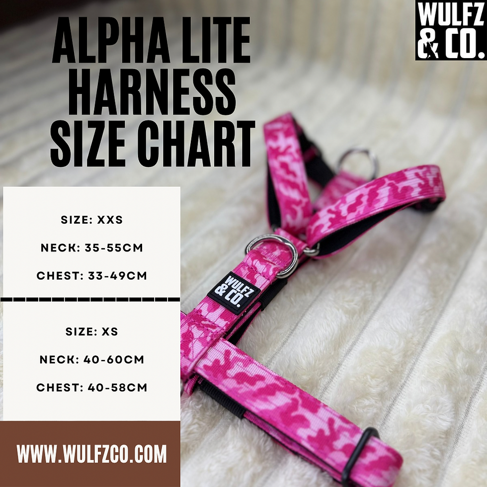 Thumbnail: Alpha Mini Harness  ~ Peony & Rose Gold Luxe Edition