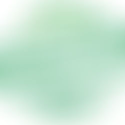 O Valor do Conhecimento: Por que Investir em Consultoria para Adquirir um Negócio ou Franquia?