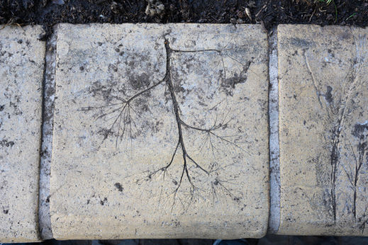 Close up of public park sculpture tiles in foreground. Artist Shona Rapira-Davies.