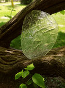 LIVE SUBSTANCE, LUCIA FABOVA 2022.jpg