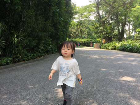 Abby at the zoo (SG Zoo)