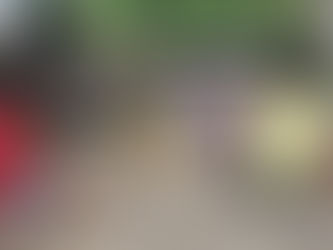 M: This time with Mum (Hort Park)