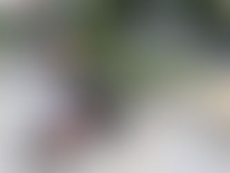 M: Walk to Baker & Cook