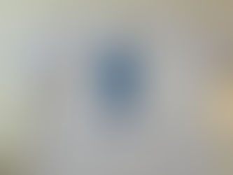 Turtle Protection Tee and Tote: Wear the Change, Protect Their Home