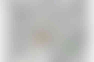 Master Planning // Urban Design