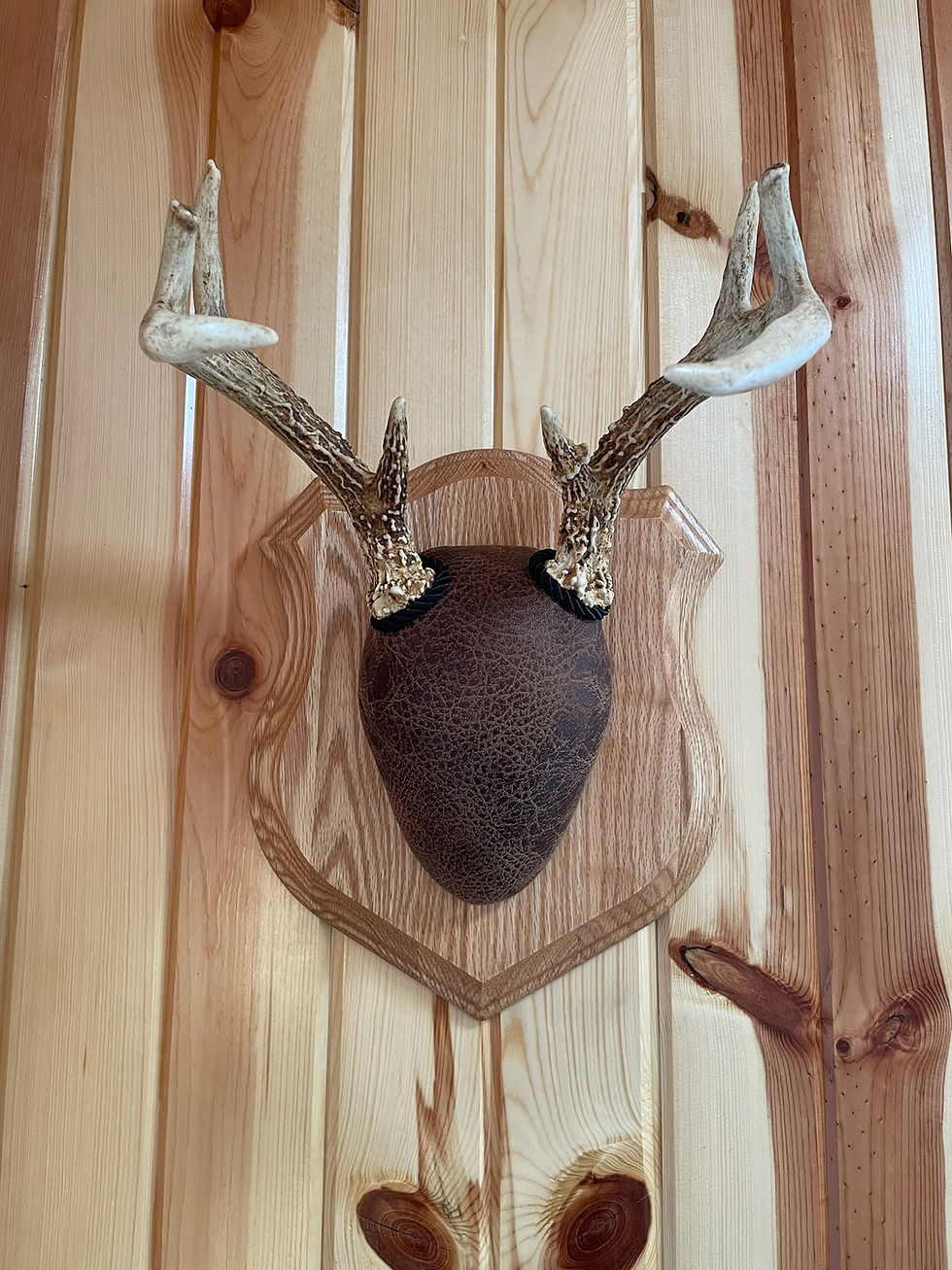 Antler Mount