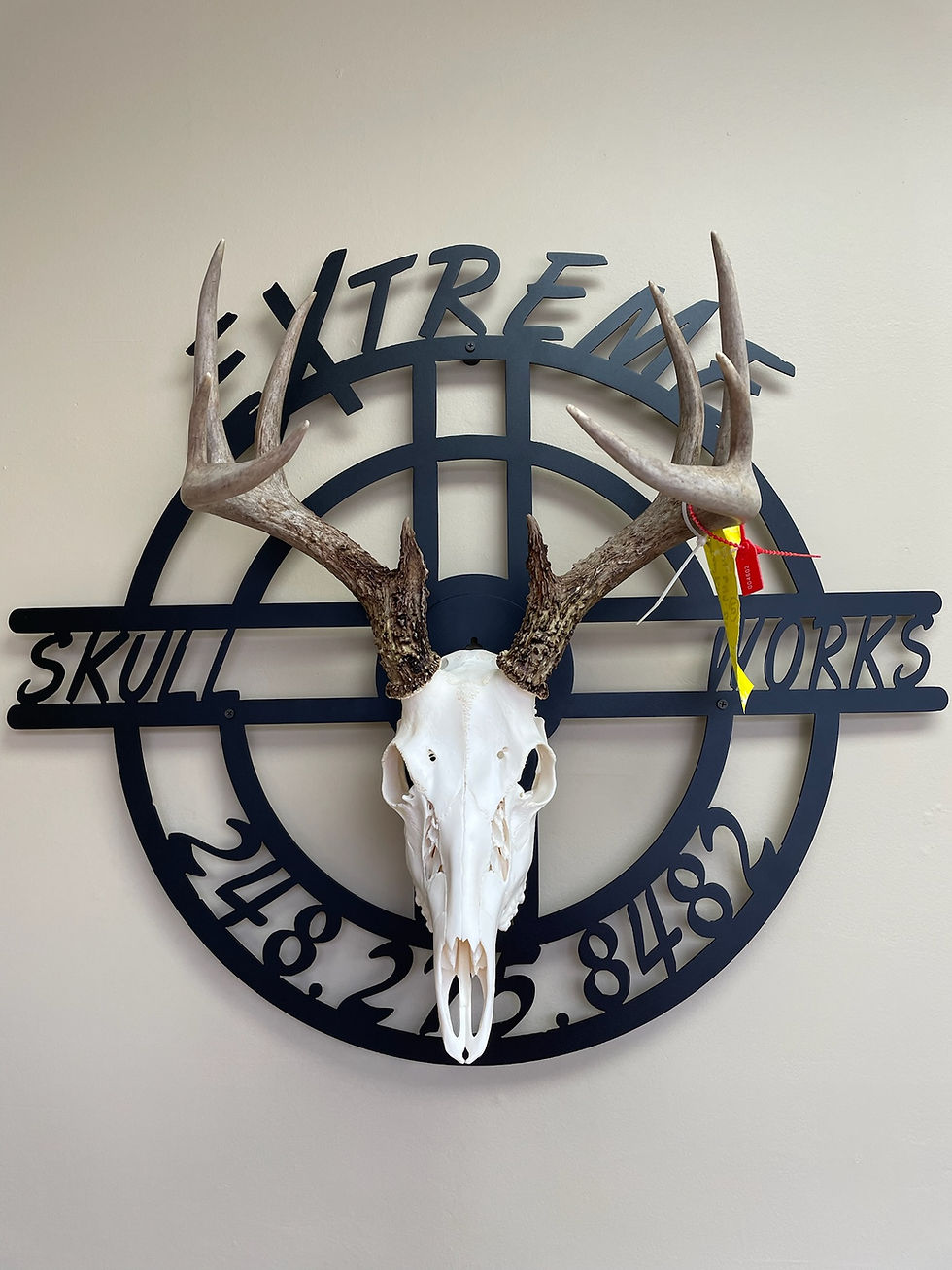 European Mount