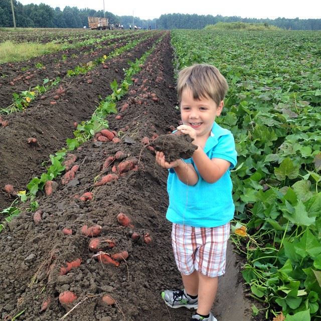 Noah helping out today.jpg
