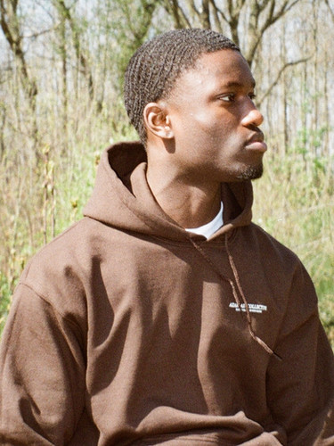 CONSIDER THE RAVENS HOODIE (BROWN) | Azariah Collective