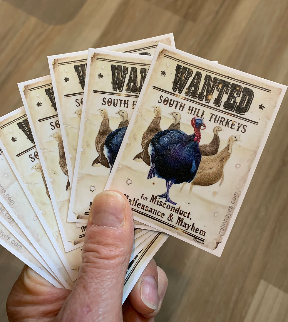 Thumbnail: South Hill Turkeys