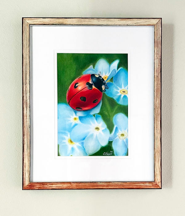 Ladybug_framed