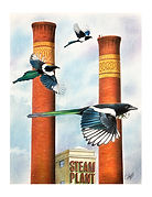 Steam Plant with Magpies