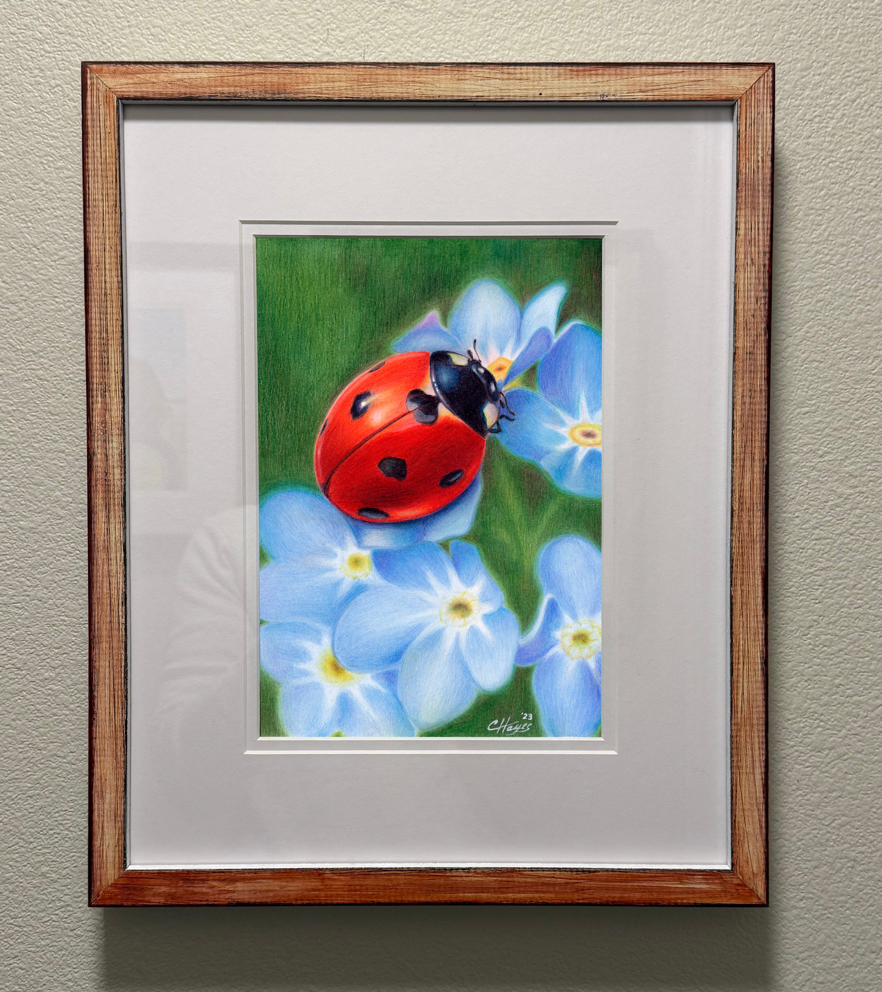 Lady Bug & Forget-Me-Nots – Original Art