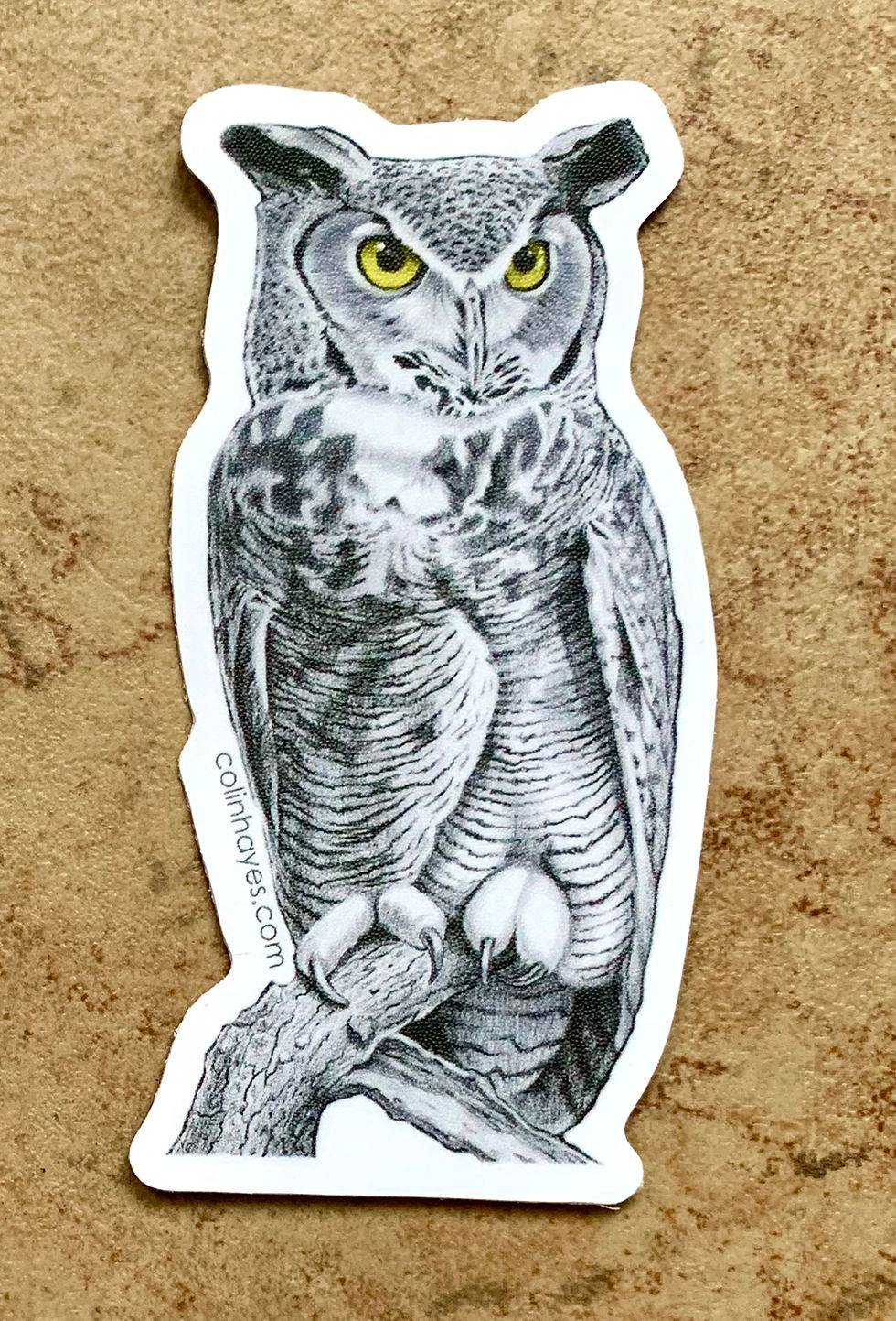 Thumbnail: Night Watcher