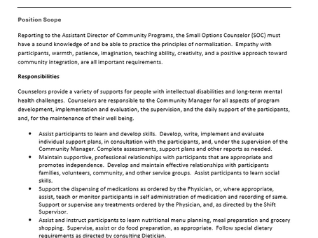 Small Options Counsellor - 0.6 PPT