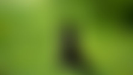 10 Best Foods for German Shepherd Puppies