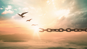 Break Free from Fear and Have the Courage to Live the Life YOU Want