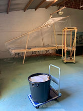 IMG_2464.jpeg