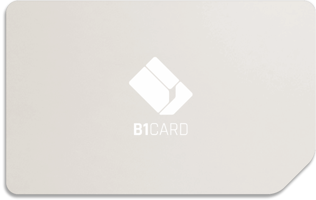 B1 Card-designvoorbeeld 5 uit het officiële kaartoverzicht