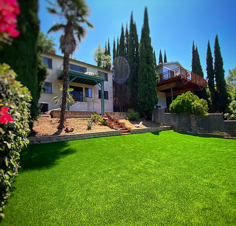 turf 