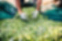 shutterstock_340138010_Original.jpg
