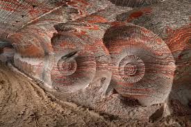 no doubt a copyrighted image from Anthropocene. Go see it.