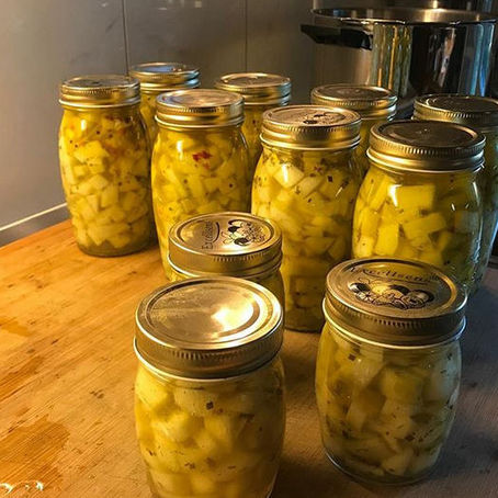Zucchetti einmachen