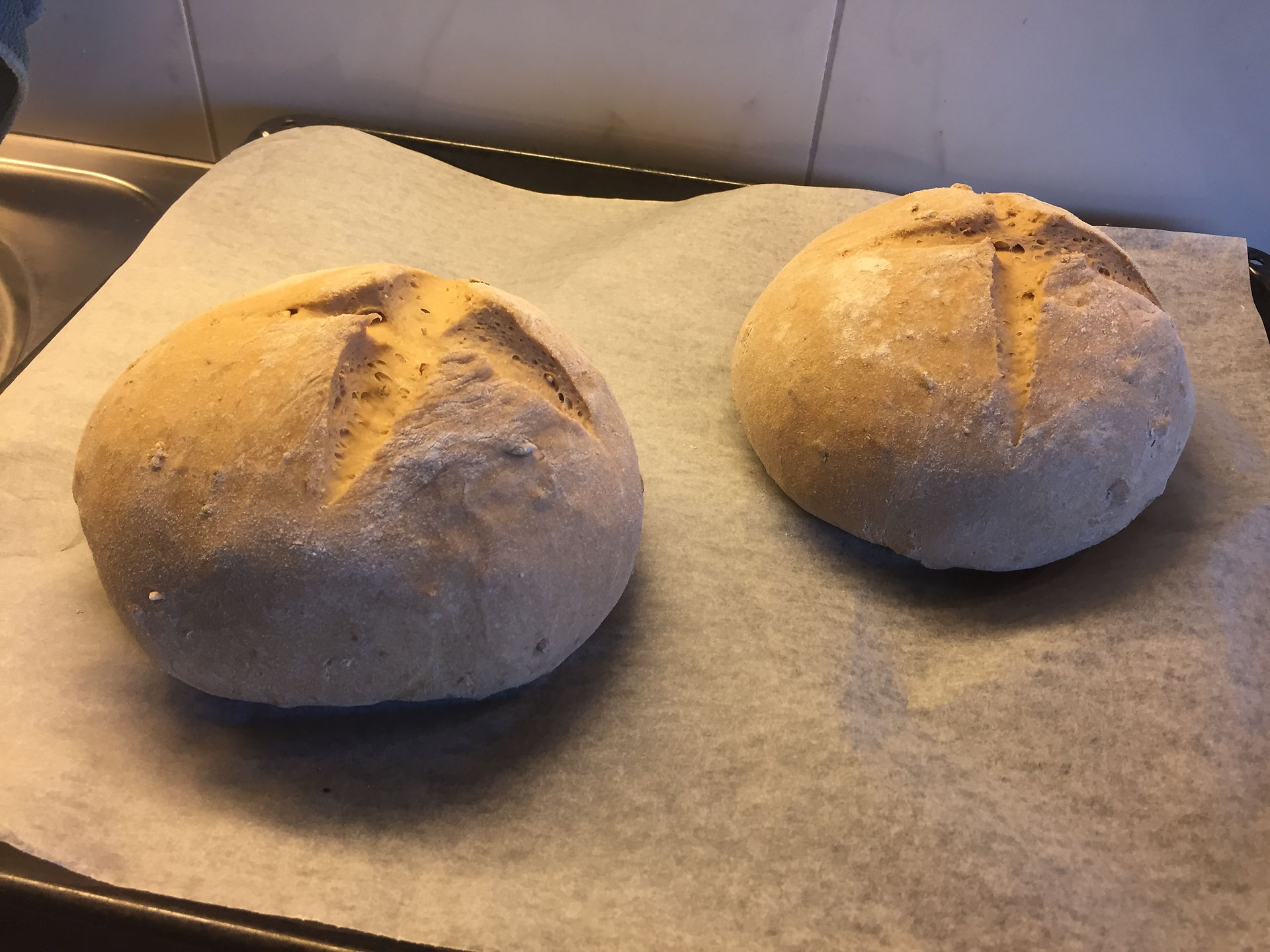 Brot