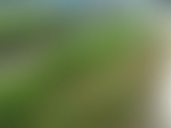 【体験談】草刈りの現場