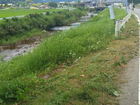 【体験談】草刈りの現場