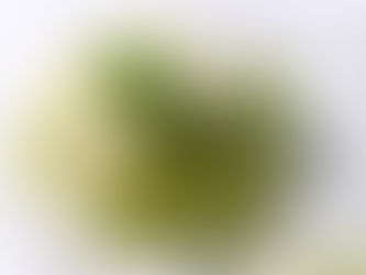 Aumônière de courgettes au chèvre frais