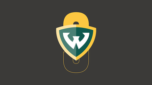 2019 D2 Recruit Rankings (Women): #3 Wayne State Warriors
