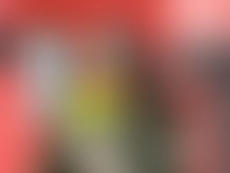 Євгенія, журналістка, військова кореспондентка